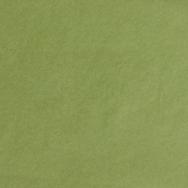 Бумага тишью оливковая, 50х66 см, 10 листов